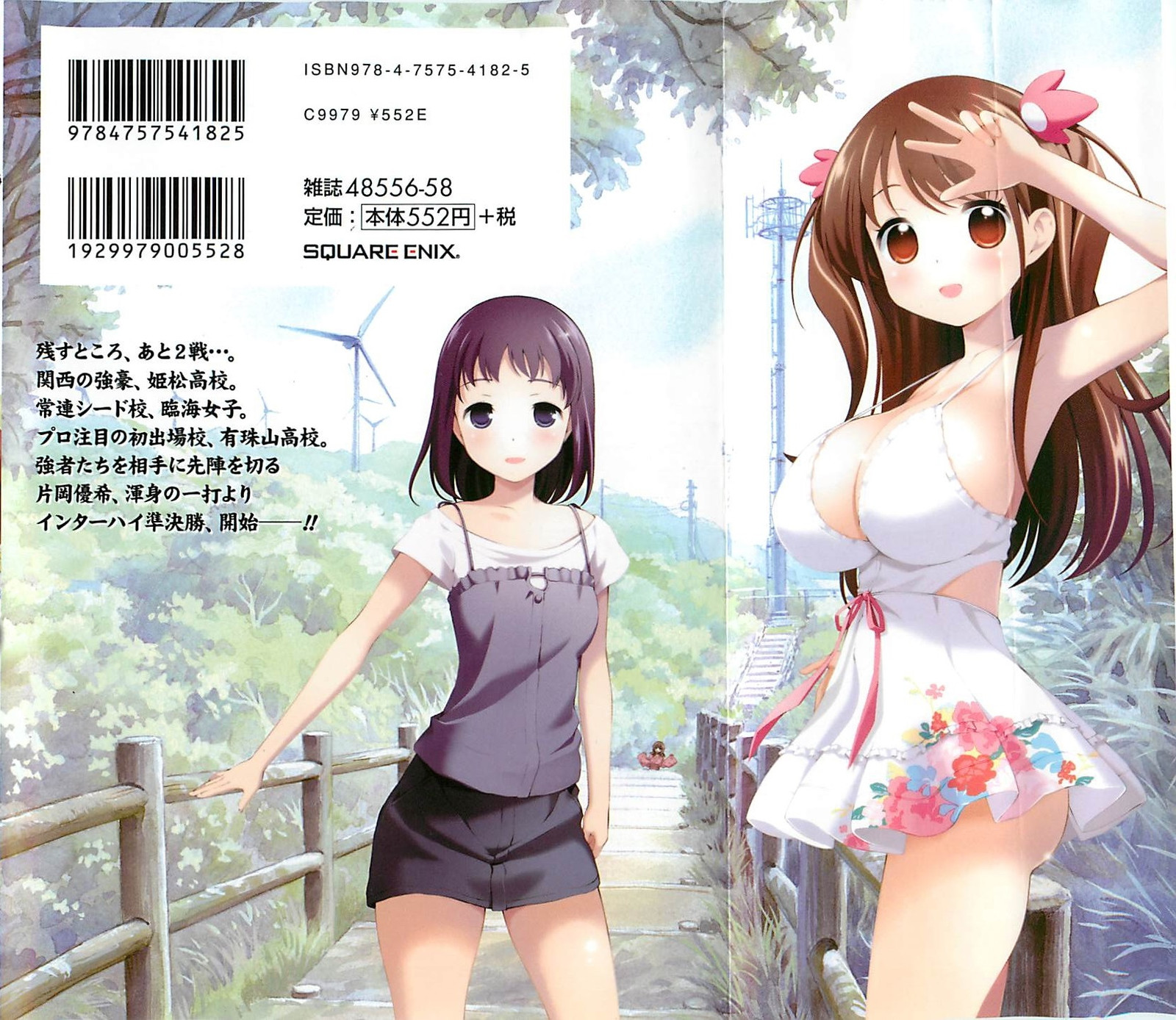 咲 Saki コミック12巻表紙の場所とシノハユの舞台に行ってきました 主に舞台探訪 時々クイズ たまに考察