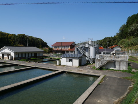 P1000059
