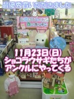 11��23������Х˥�����