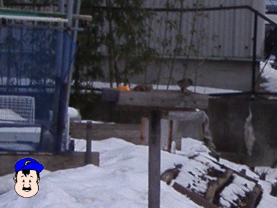 社長の楽しみ