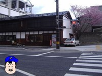 せんだいやさんのさくら。