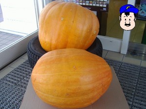 ���ܤ��ܡ����ܤ���