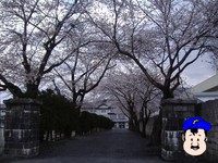 さくら 遠野小学校
