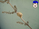 ���������ޤ���Ρ����ޤ�����������