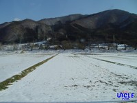 ゆきの色、ふゆの色