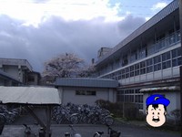 さくら 遠中 1