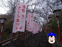 さくらまつりの のぼり いっぱい