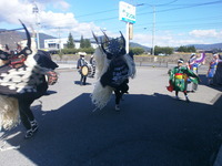 9210017上柳早池峰しし踊り