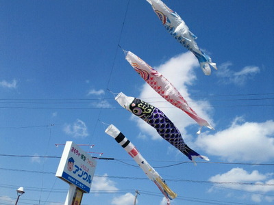 2011年4月1日の鯉のぼり