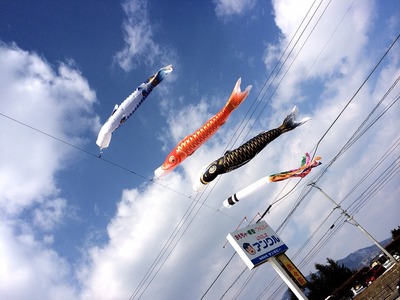 �����Τܤ�