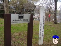 大日山の桜は市指定の天然記念物、そして遠野遺産第30号