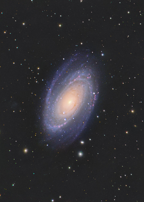 41dd76b5-s.jpg 41dd76b5-s.jpg