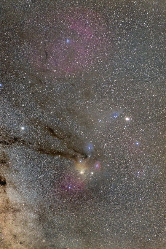 帰省先でのサソリ : 星と畑のシニアライフ
