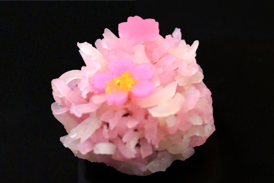 和生 桜_edited-2