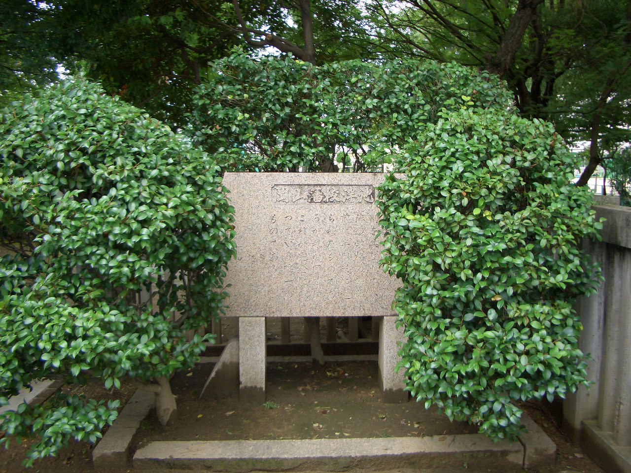 岡山藩 藩学跡 はん池の睡蓮 07 7 15 生涯学習ブログ