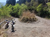IMG20250426103813