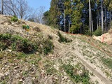 IMG20250322115223