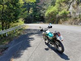 IMG20250426112533