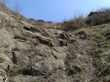 IMG20250322111957