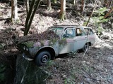 IMG_20200321_151555
