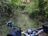 IMG20250505082119