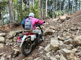 IMG20250329103419