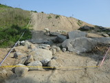 DSC03388