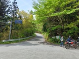 IMG20250505134347