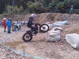 NORMAL00229