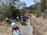 IMG20250329121853