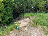 IMG20250503130303