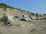 DSC03395