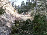 IMG_20200321_092208