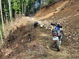 IMG20250329105343