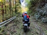IMG20250426143659