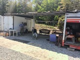 IMG20250427131607