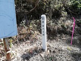 IMG_20200321_102934