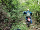 IMG20250505141105