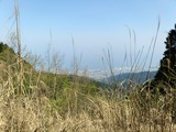 IMG20250426103316