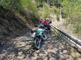 IMG20250426103311
