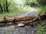 DSC02441