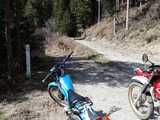 IMG_20200321_140817