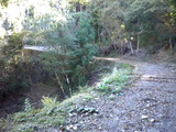 DSCN3245