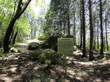 DSC02480
