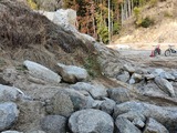 IMG20250308154632