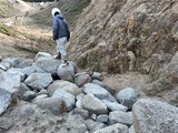 IMG20250308154648