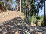 IMG20250426103537