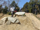 IMG20250322115639