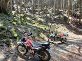 IMG20250426114909