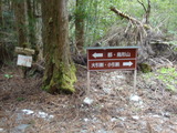 DSC02665